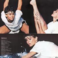 Physical LP inner sleeve back