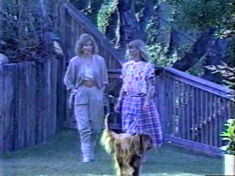 Olivia Newton-John on Entertainment Tonight April 1988 Olivia Newton-John on Entertainment Tonight April 1988